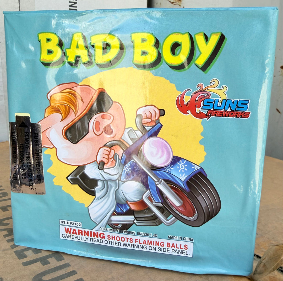 Bad Boy