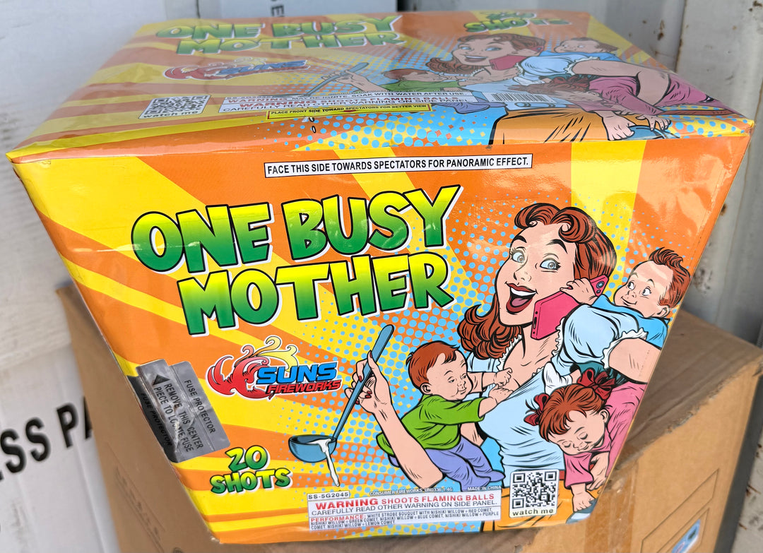 One Busy Mother