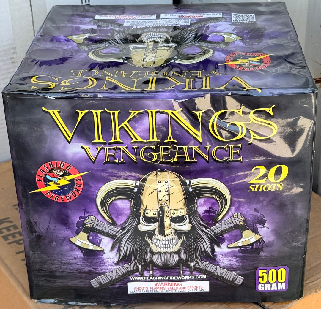 Vikings Vengeance