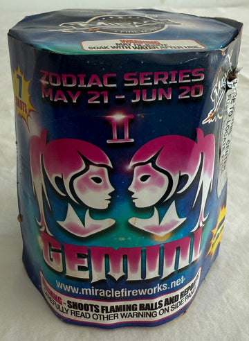 Zodiac Series Gemini
